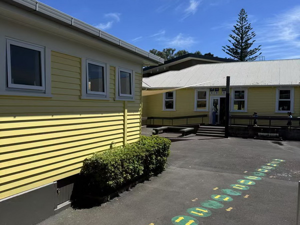 Building Trust Through Excellence: A Client's Journey